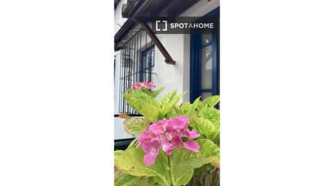 Photo 2 of Room in Comillas (Cantabria), Cantabria
