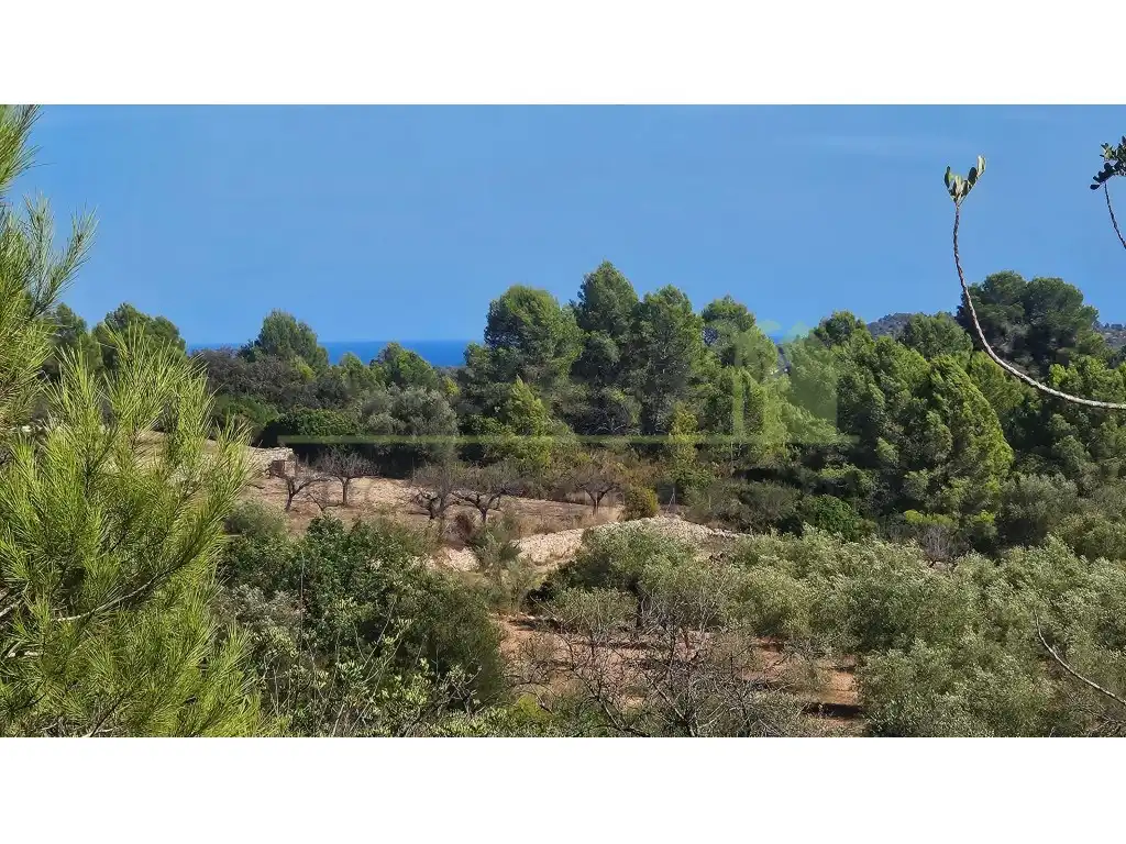 Rural land for sale in Poligono 37 Paraje 351 T Cerver, imagen 2
