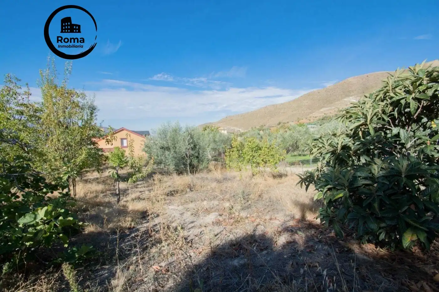 Villa con terrazza in vendita a Calle Fuente 16 Caños, imagen 59