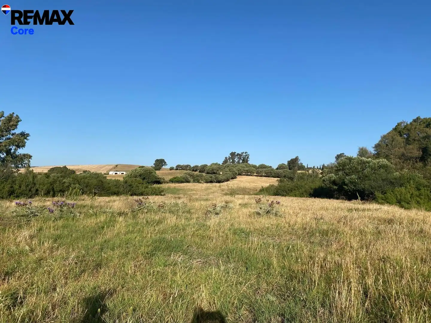Terreny rústic en venda a Medina Sidonia
