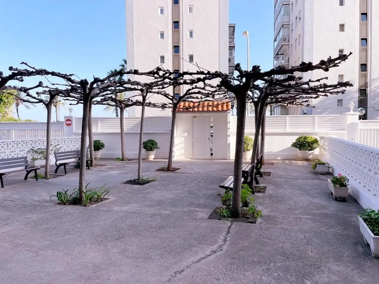 Apartment with pool to rent in Heliópolis, imagen 30