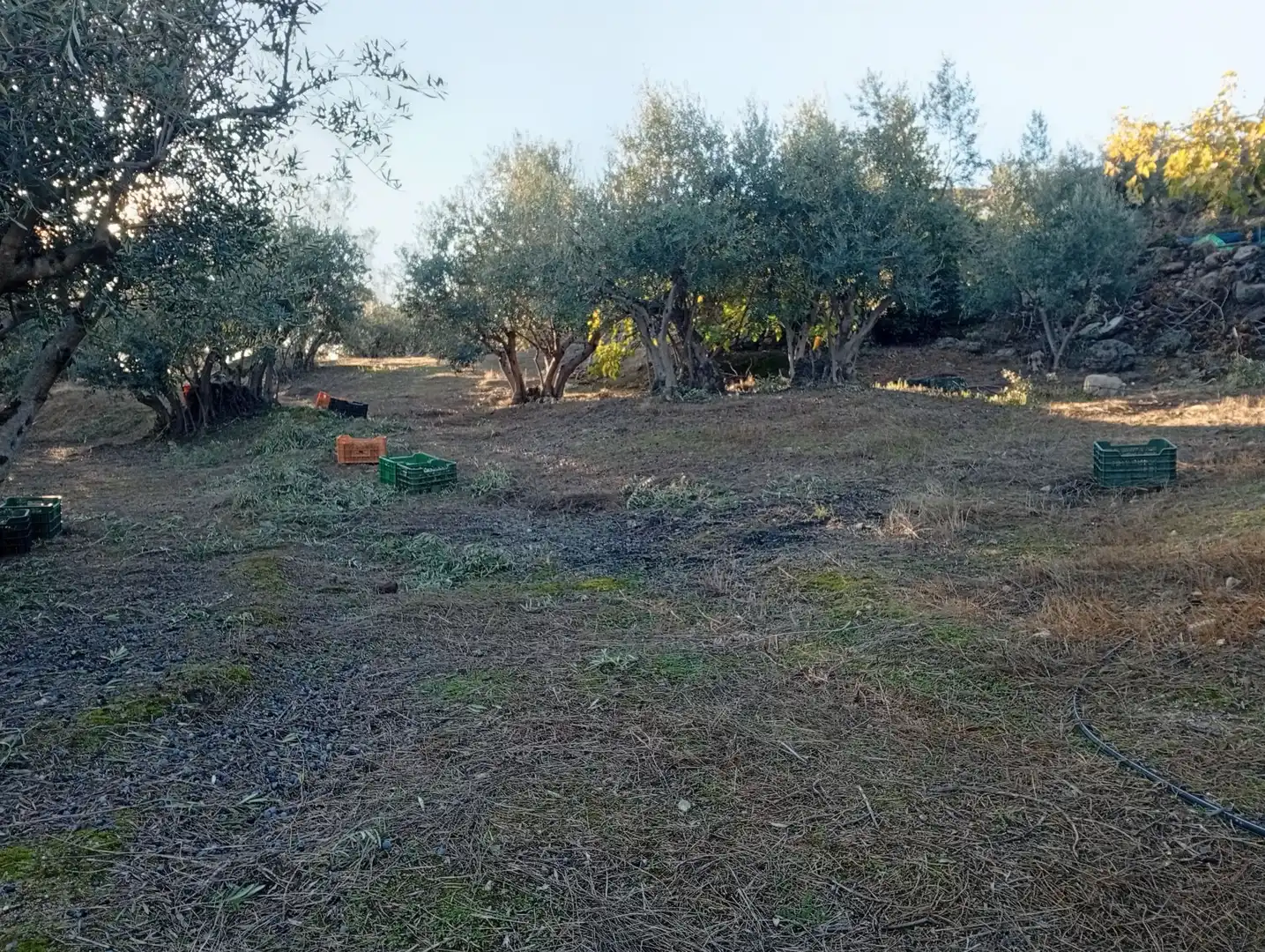 Terreni e lotti in vendita a Villanueva de la Vera, imagen 19