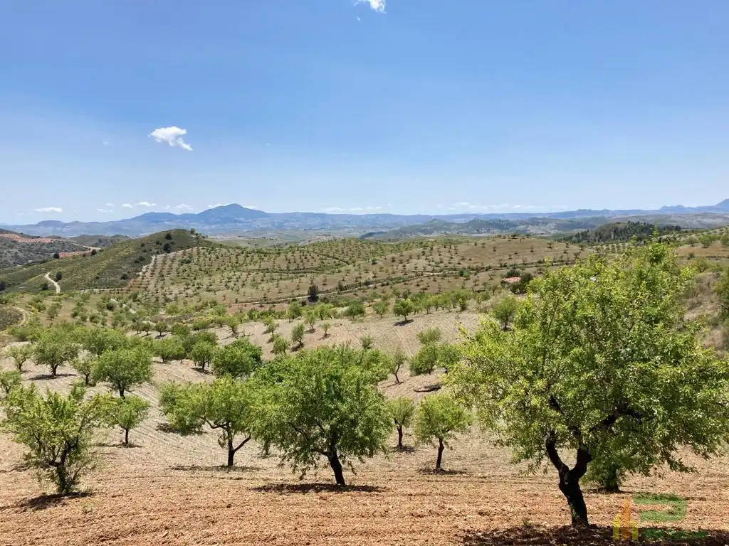 Terreni e lotti in vendita a Sierra de La Torrecilla, imagen 15
