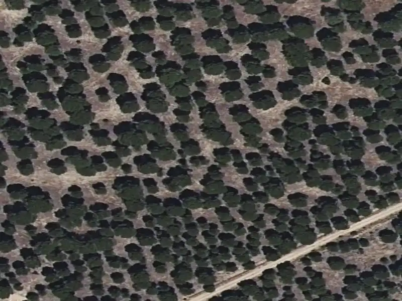 Terreno residencial en venta en Sector Sued-10 Paraje la China Finca A-1