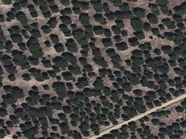 Terreno residenziale in vendita a Sector Sued-10 Paraje la China Finca A-1