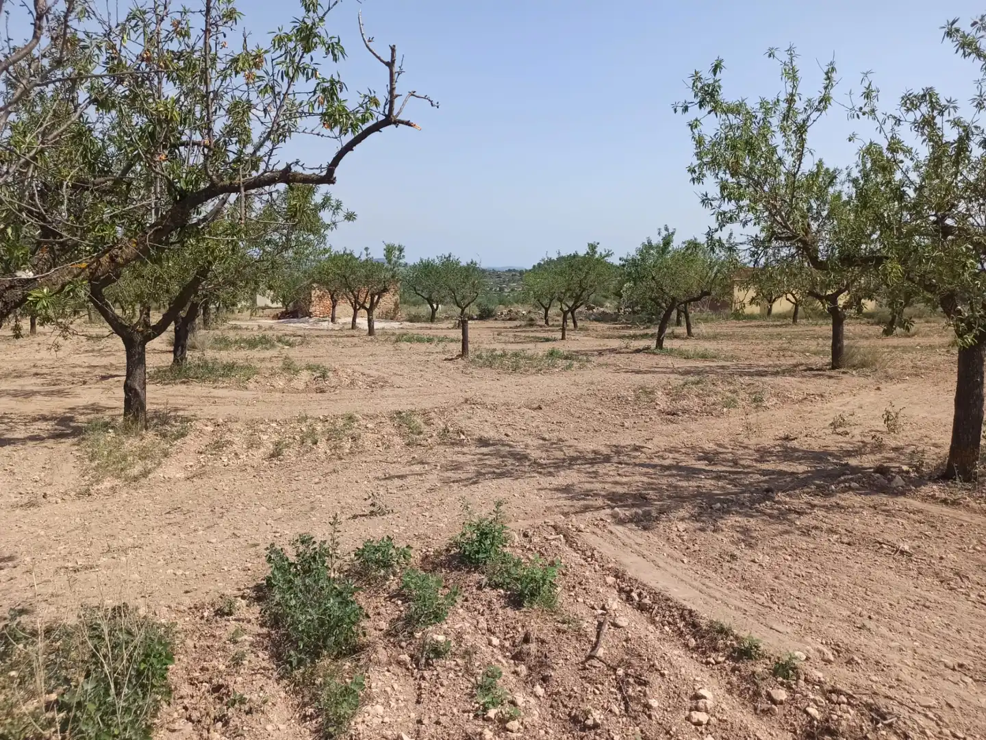 Terrain rustique à vendre à Villar del Arzobispo, imagen 6