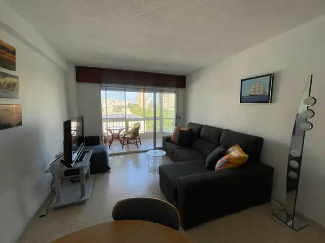 Living room of Flat for rent in Alicante / Alacant  with Air Conditioner, Heating and Terrace