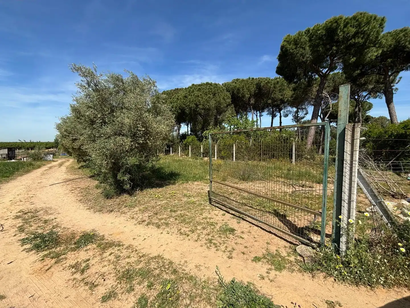 Terreni e lotti in vendita a Polígono Polígono 14 Paraje 87 LOS MONTES, imagen 8