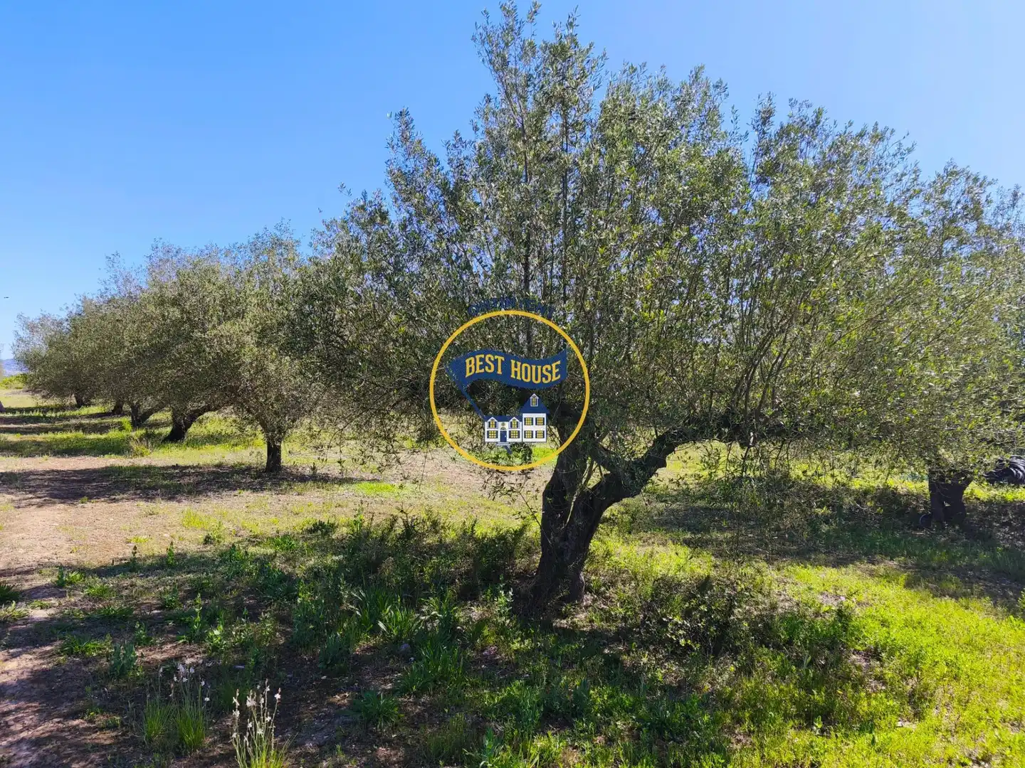 House for sale in Albaida, imagen 31