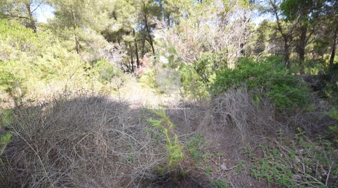 Foto 4 de Terreno en venta en Partides comunes - Adsubia, Jávea / Xàbia