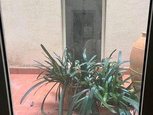 Foto 5 de Planta baixa en venda a Carrer Marina, Manresà, Badalona