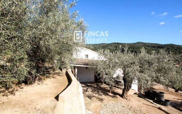 Finca rústica en Venta en RJRJ+HGM en Bítem