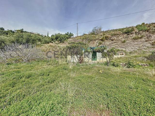 Terreno en Venta en Camino Zarzaparrilla - Fuente de Ariza, 183 en Algarrobo pueblo