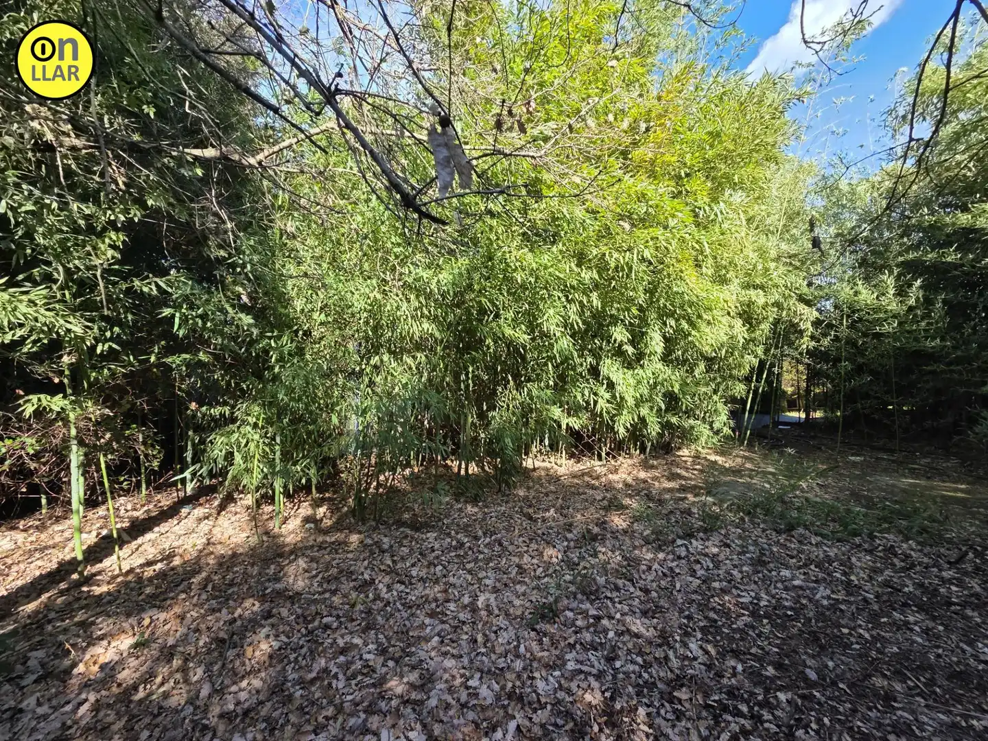 Casa o chalet en venta en Sant Pere de Vilamajor