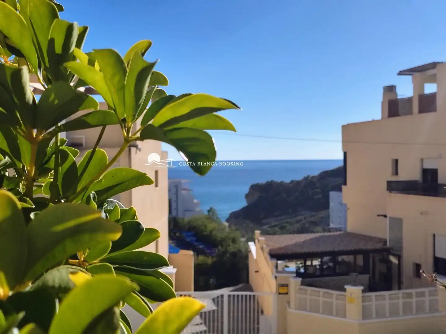 Vista exterior de Casa o xalet en venda en Villajoyosa / La Vila Joiosa amb Aire condicionat, Jardí privat i Piscina