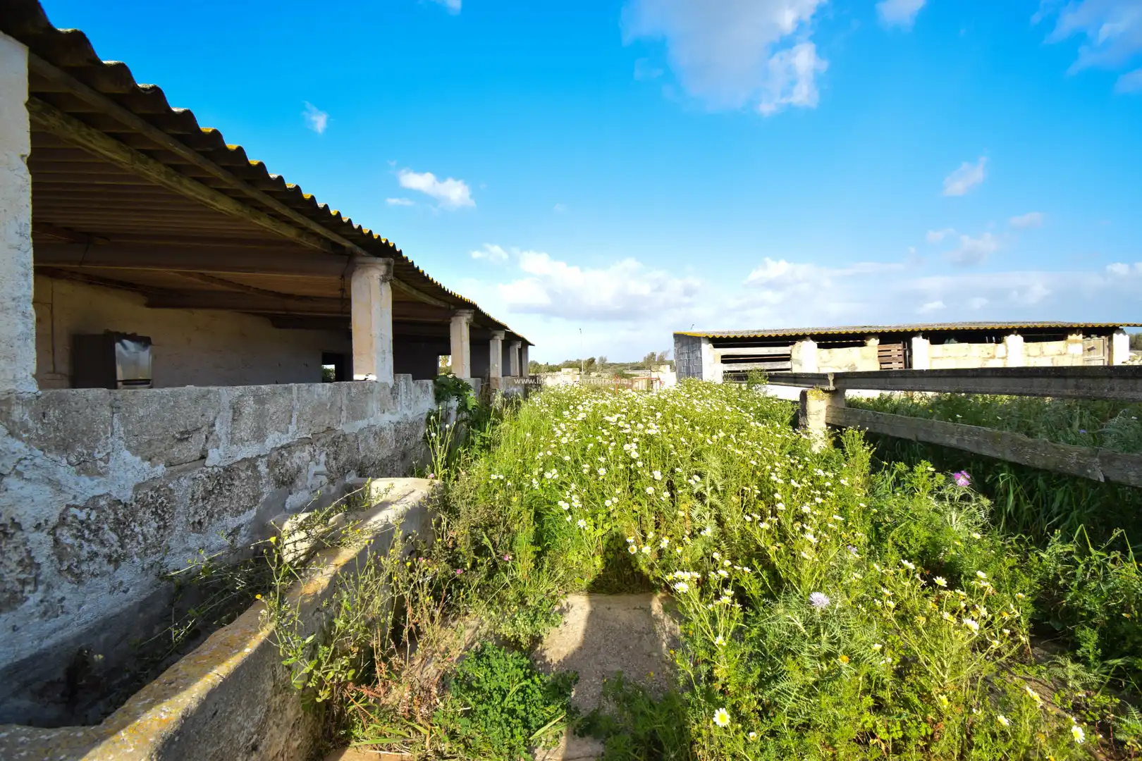 Vista exterior de Terreny industrial en venda en Ciutadella de Menorca
