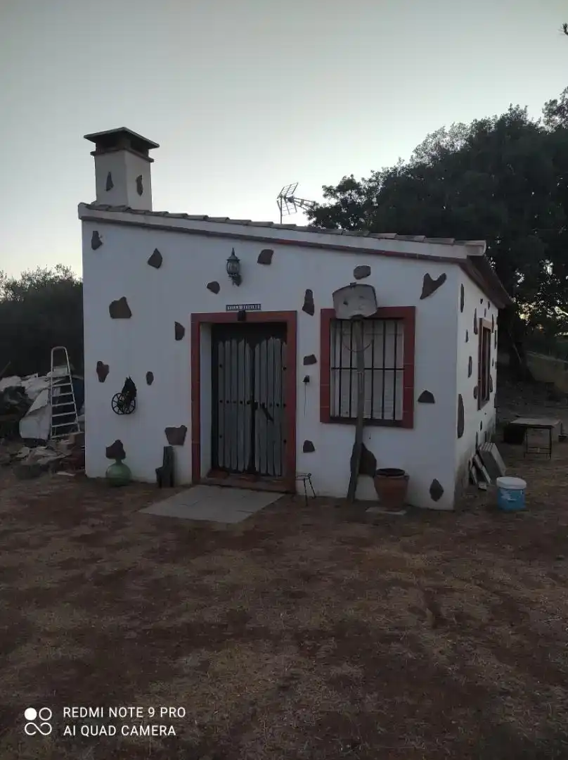 Exterior view of Land for sale in Alanís