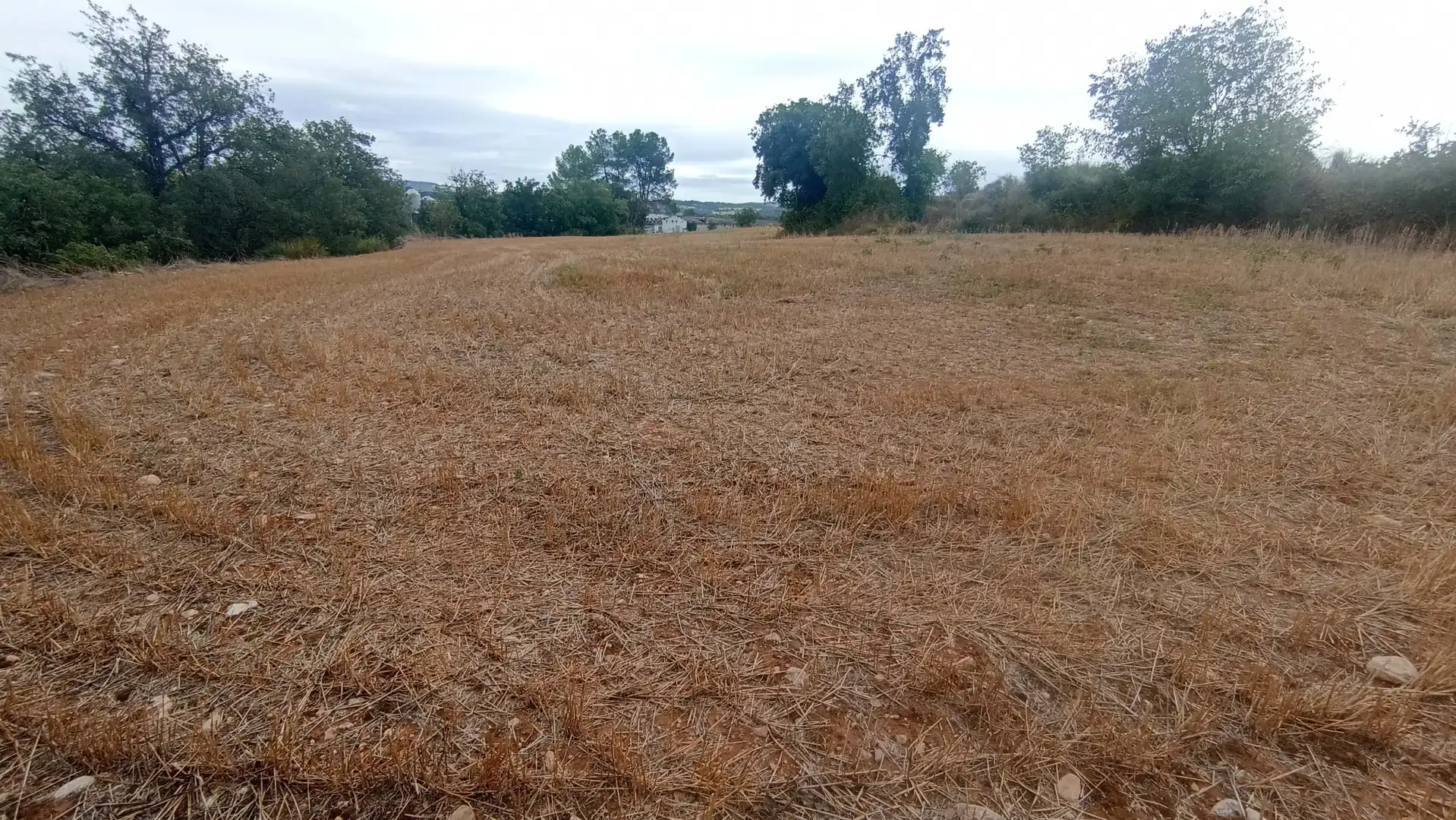 Terreno en venta en Artesa de Segre