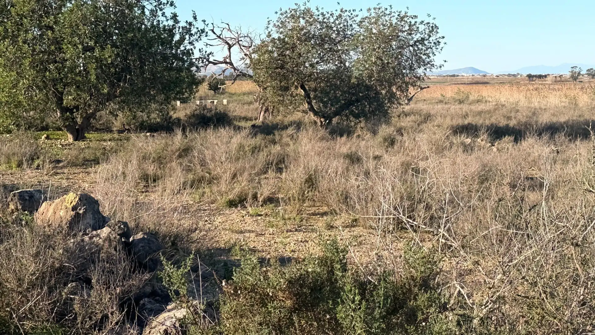 Terreno residencial en venta en La Marina, imagen 20