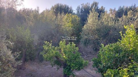 Foto 3 de Finca rústica en venta en Molino Quemado, El Pinar, Granada