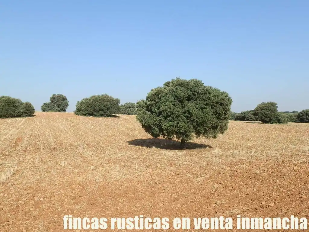 Terreno en venta en Alcaraz