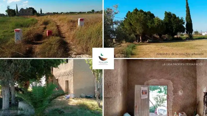 Landhaus zum Verkauf in Callosa de Segura, imagen 16