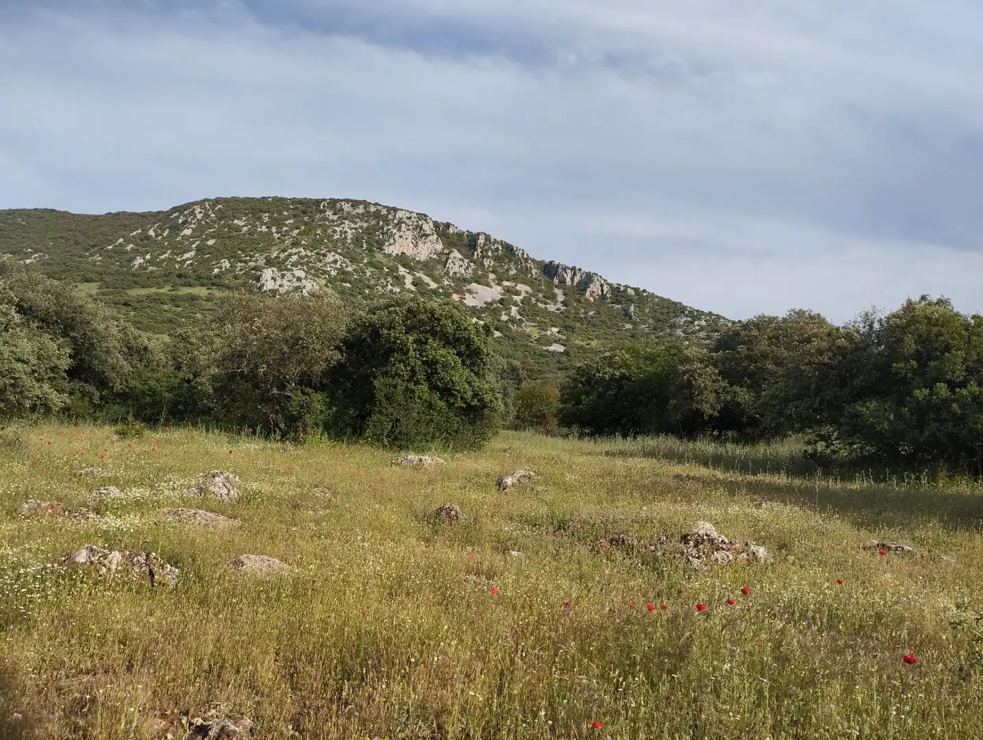 Terreno rustico in vendita a Calle Doña Mencía, imagen 13