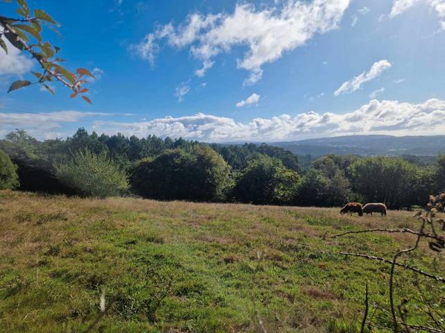 Terreno residencial en Venta en Brión