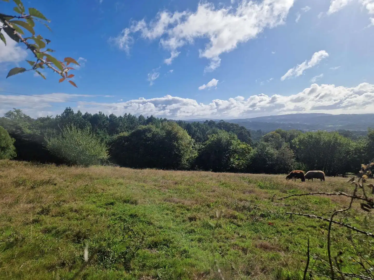 Lands and plots for sale in Brión