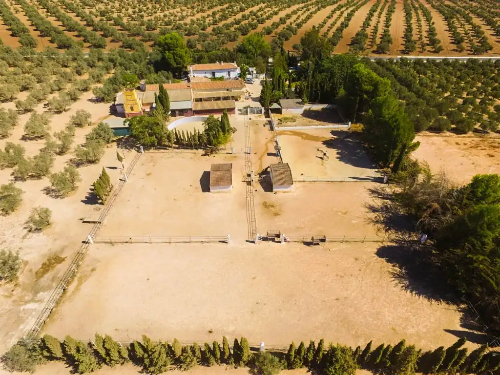Landhaus mit Pool zum Verkauf in Centro, imagen 7