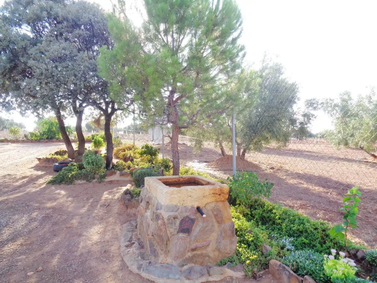 Garden of Country homes for sale in Moral de Calatrava