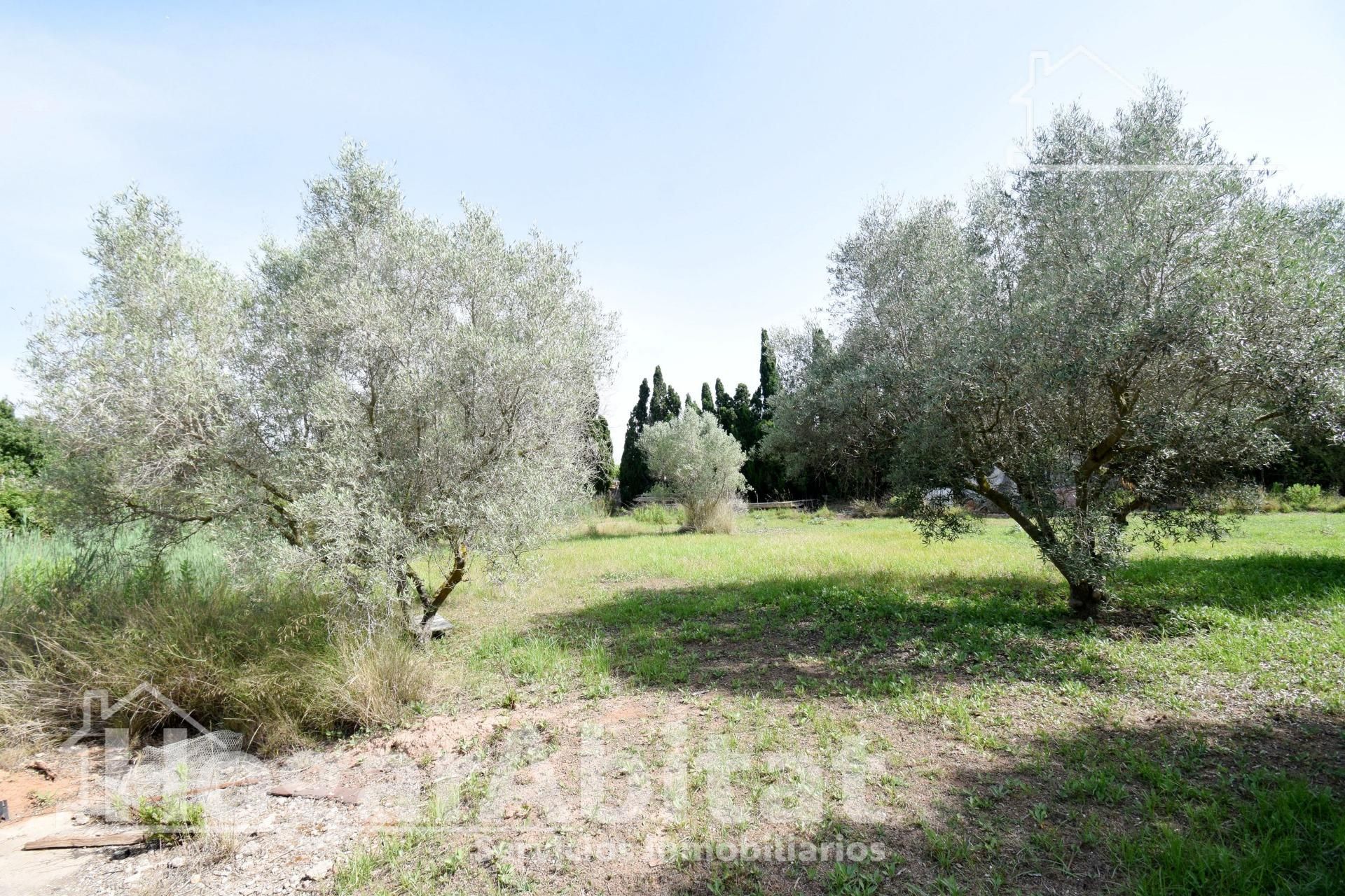 House or chalet for sale in Nules  with Private garden, Terrace and Swimming Pool