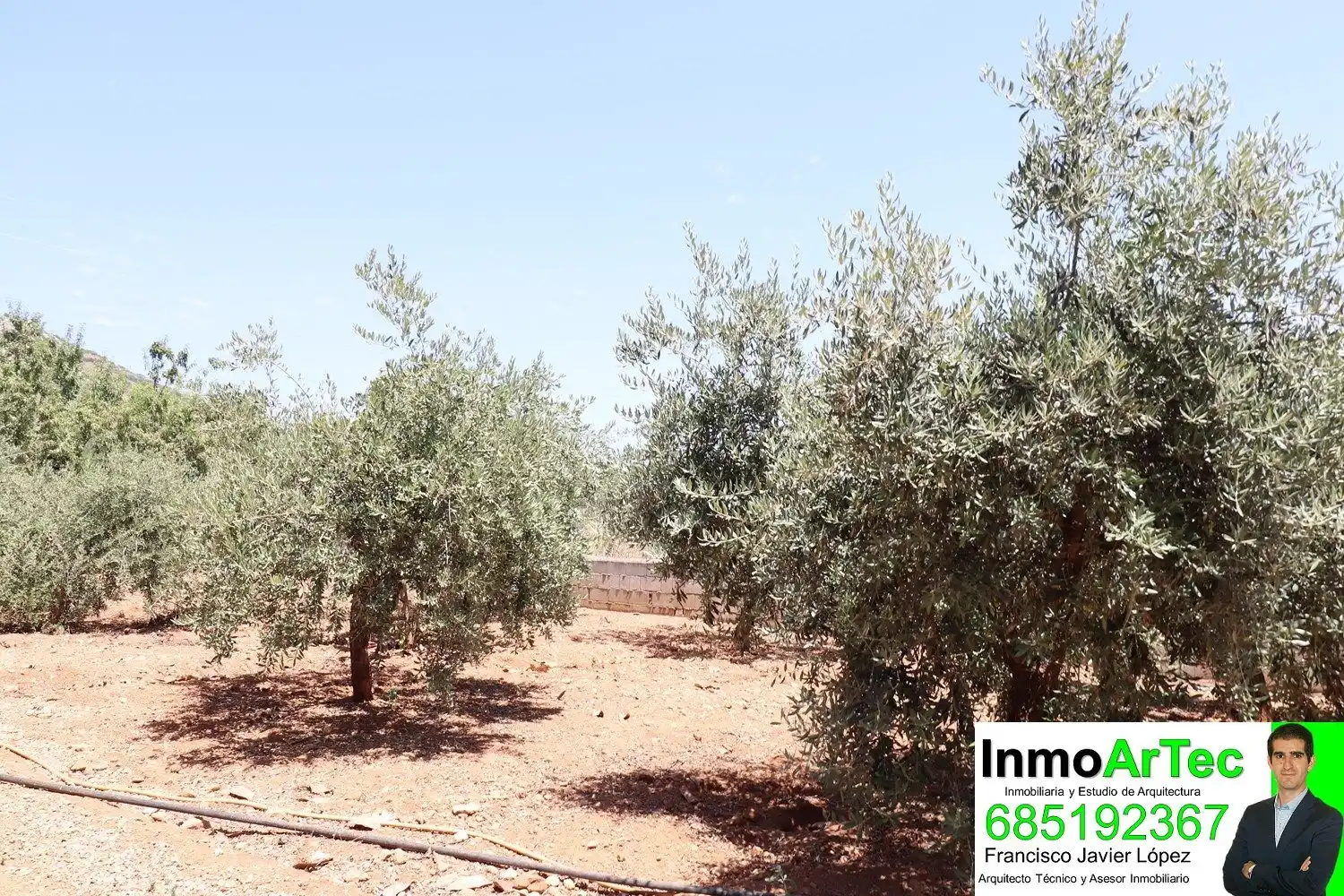 Casa o xalet en venda en Íllora amb Jardí privat i Traster