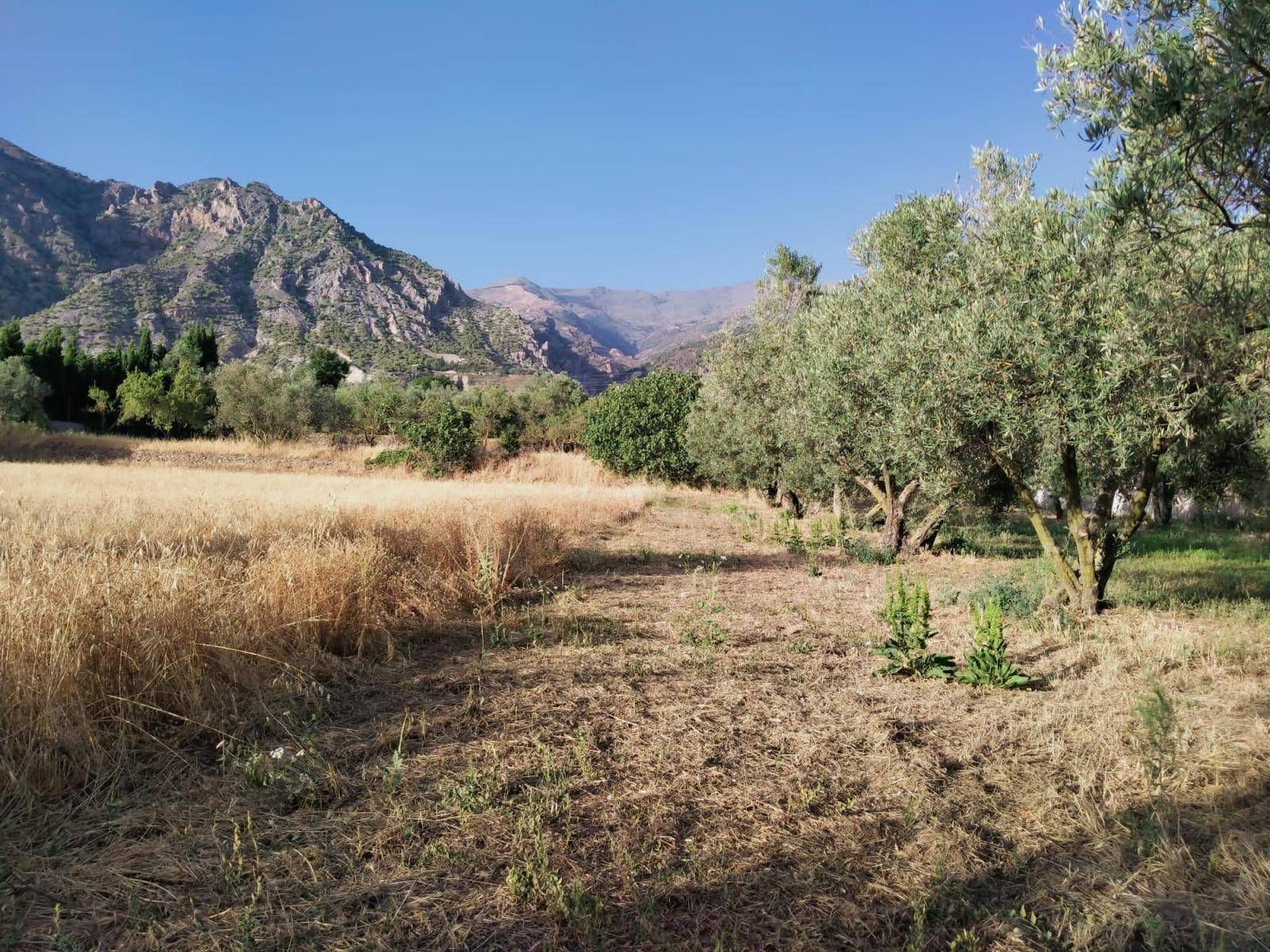 Residencial en venta en Nigüelas