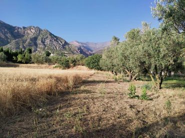 Terreni e lotti in vendita a Nigüelas