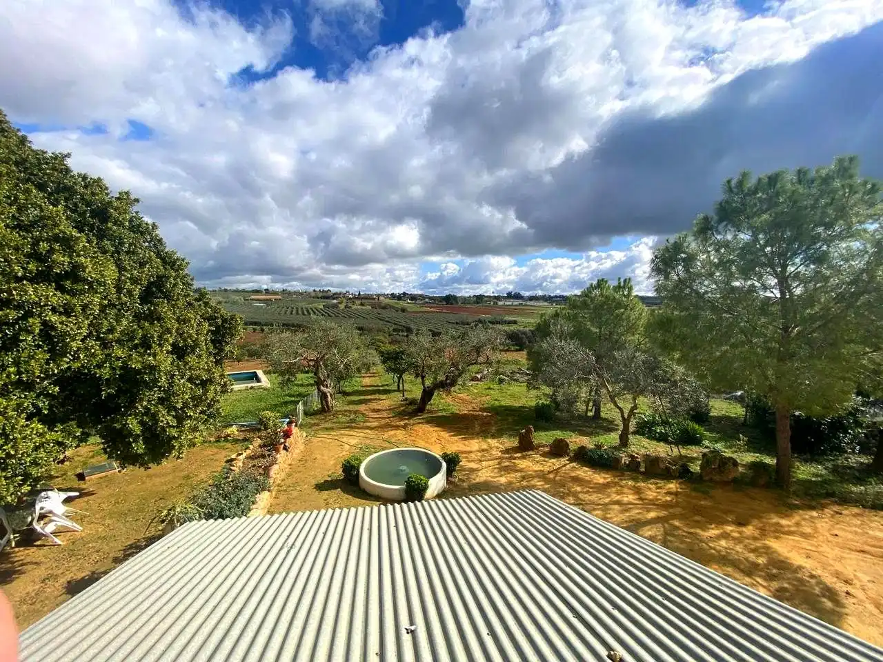 Jardín de Finca rústica en venta en El Viso del Alcor