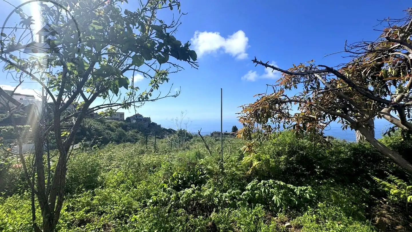 Casa o xalet en venda en La Guancha amb Jardí privat i Moblat