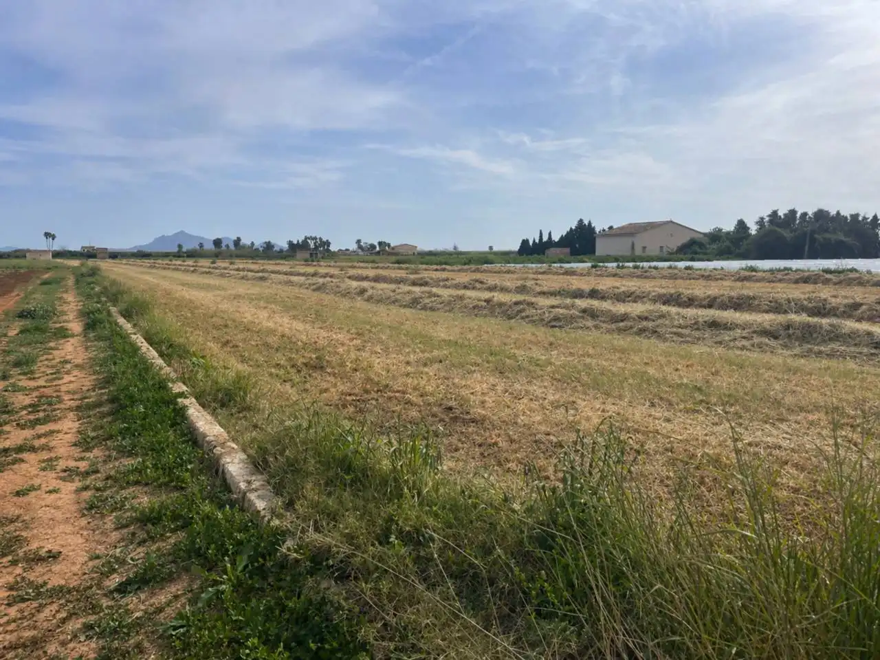 Terreno rustico in vendita a Muro, imagen 9