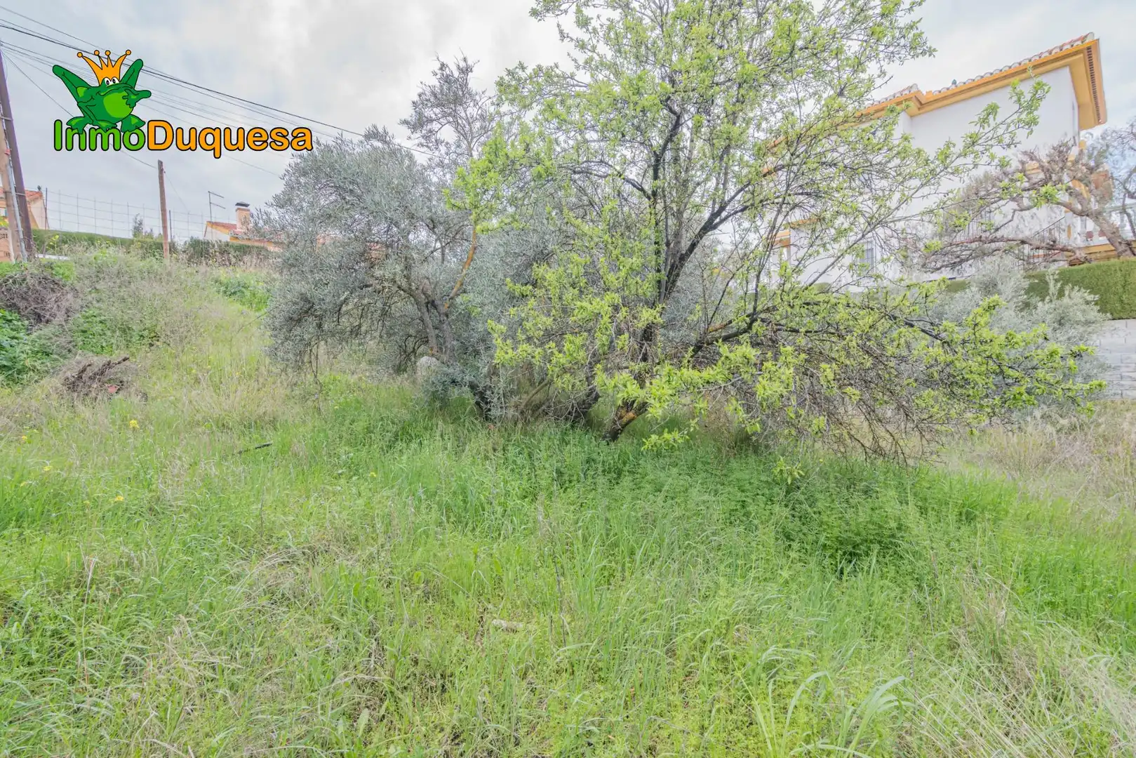 Terreni e lotti in vendita a Cúllar Vega, imagen 16