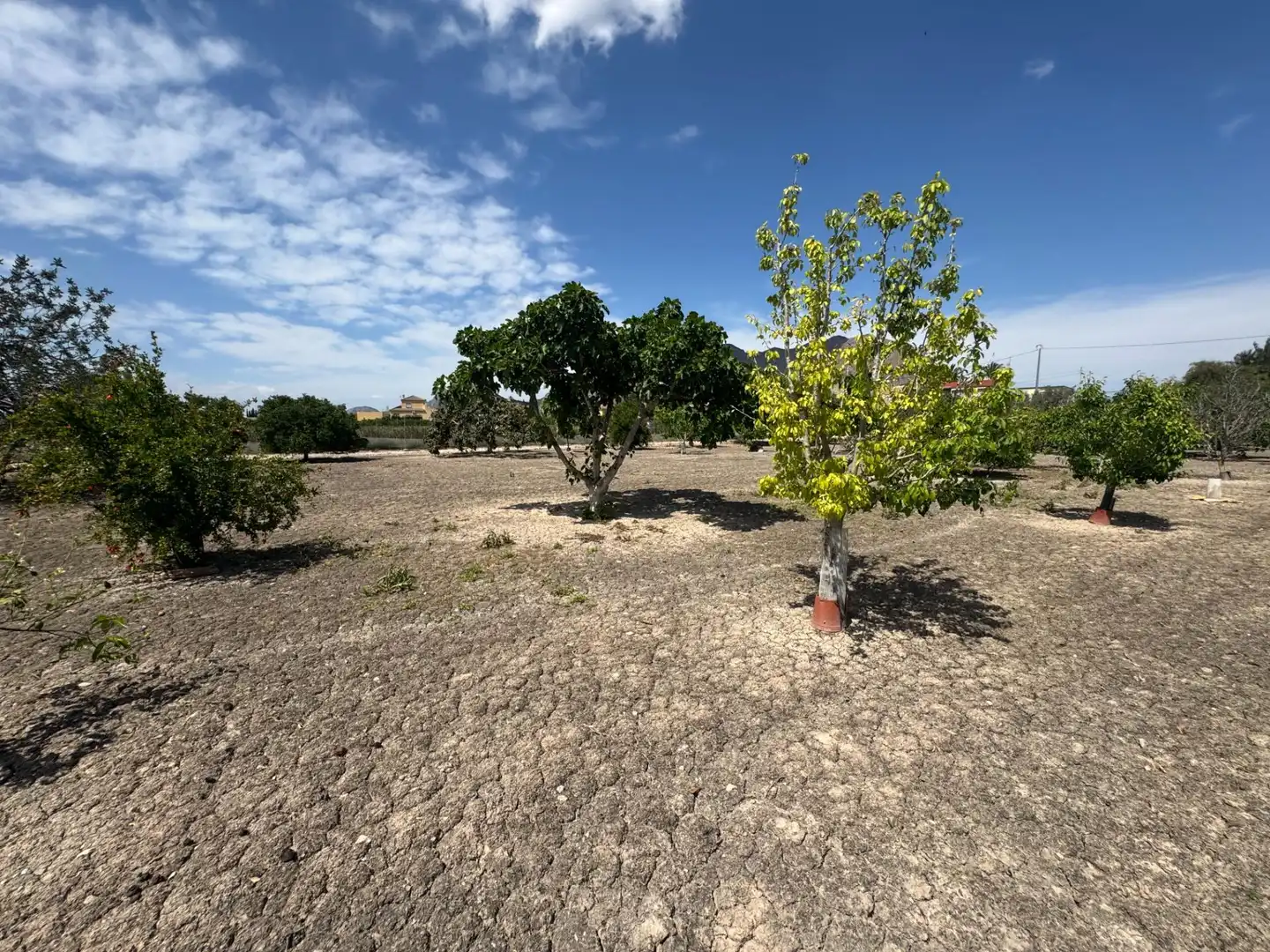 Casa en venta en Callosa de Segura, imagen 15