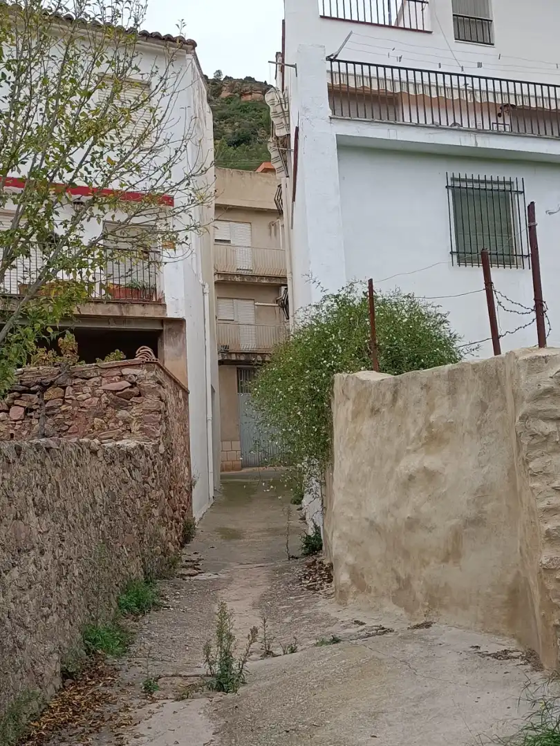 Vista exterior de Casa o xalet en venda en Algimia de Almonacid amb Jardí privat, Terrassa i Moblat