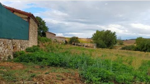 Immagine 1 dell'annuncio