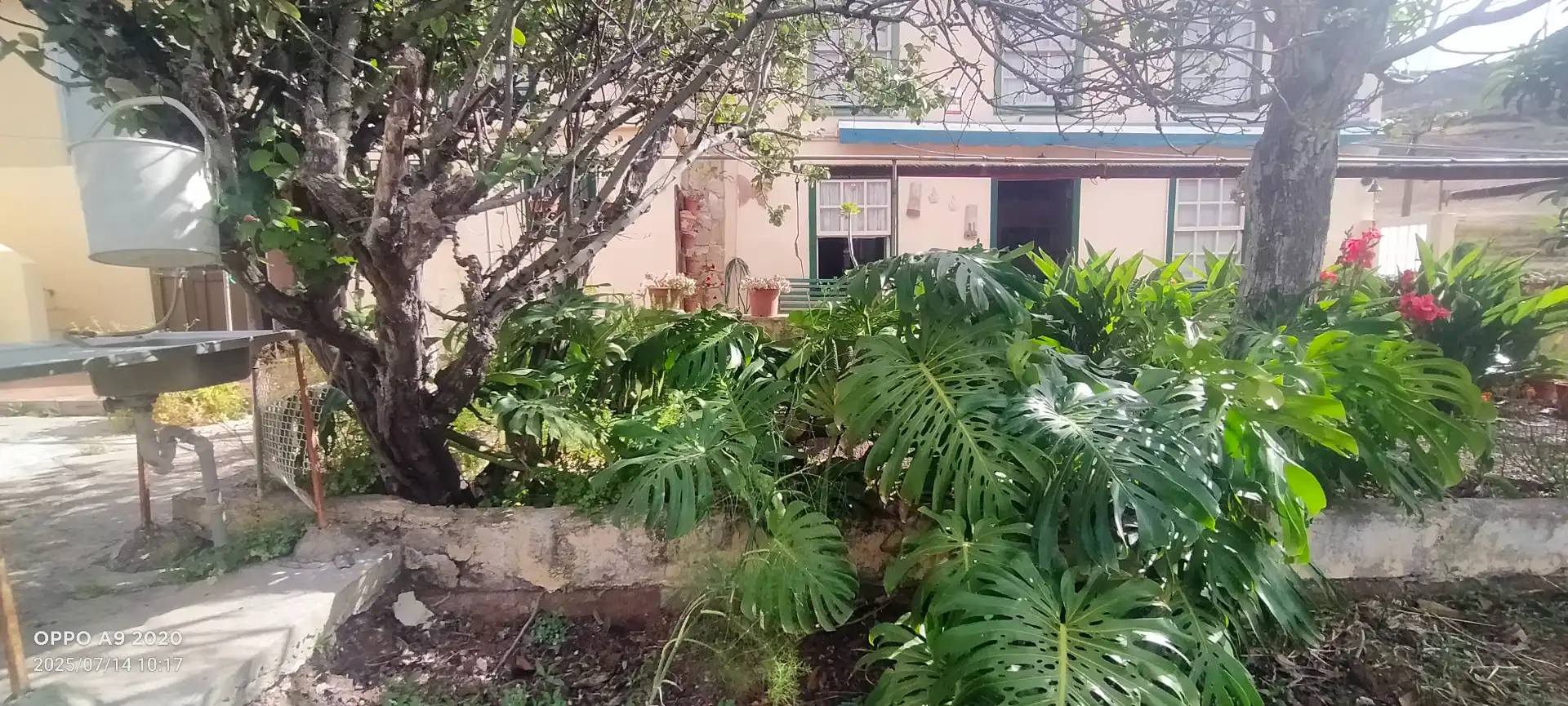 Casa o chalet en venta en San Cristóbal de la Laguna con Jardín privado, Parquet y Terraza
