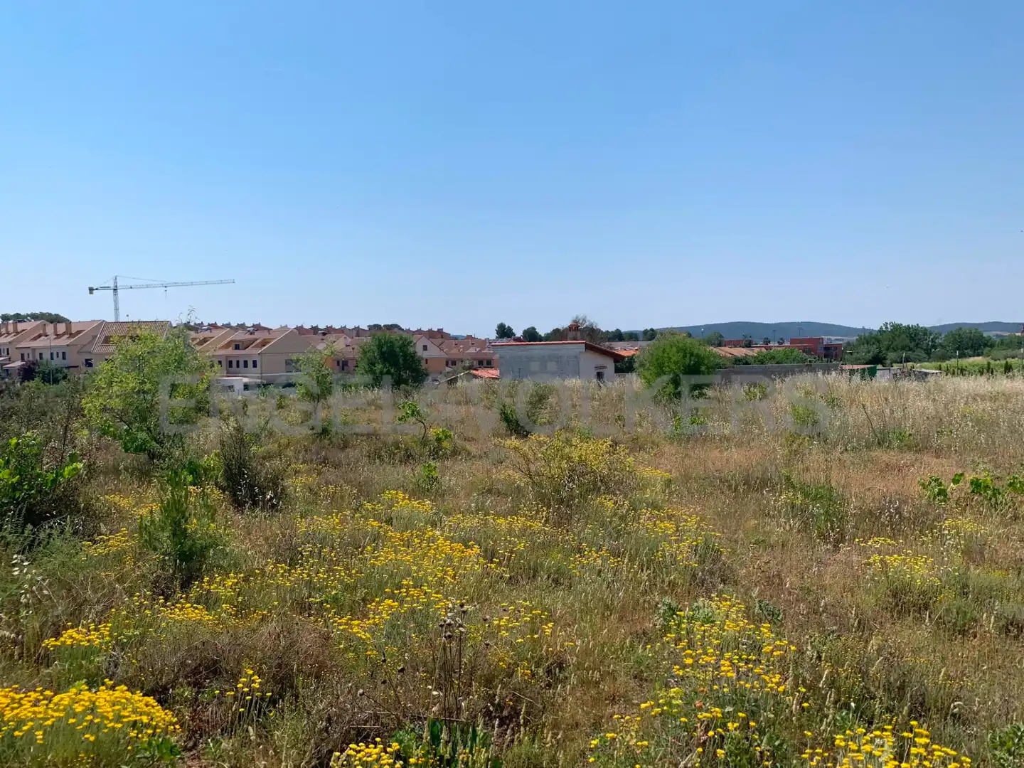 Terreny rústic en venda a Requena, imagen 16
