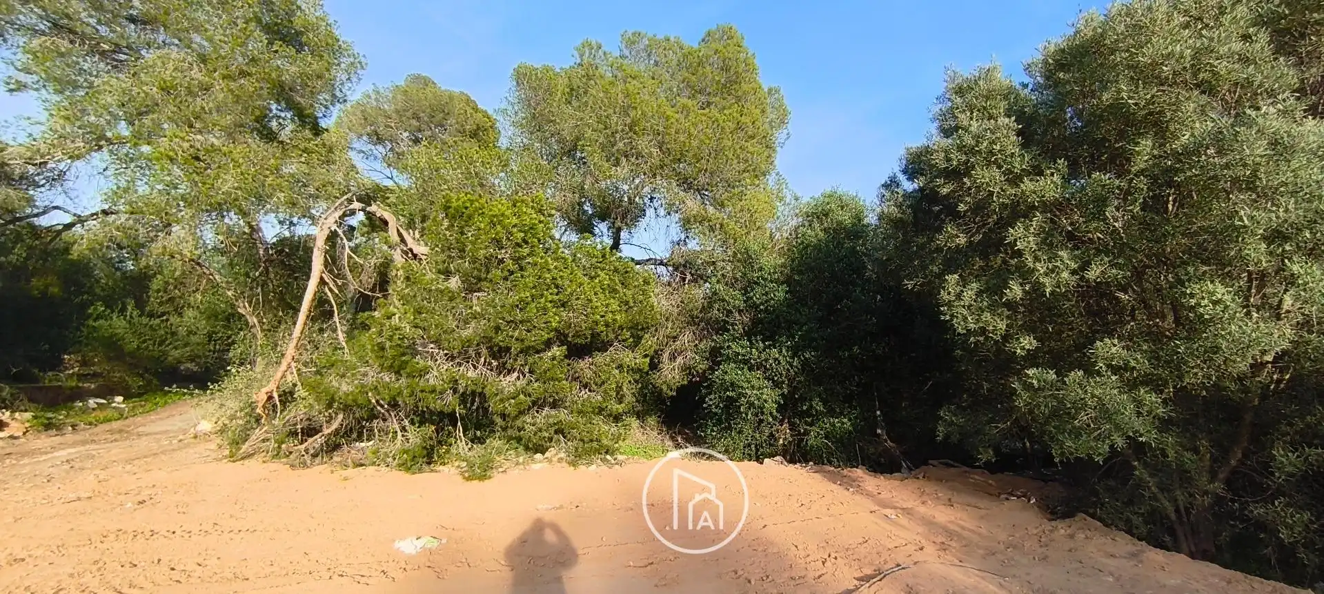 Detached house for sale in Casas Verdes - Ermita, imagen 19