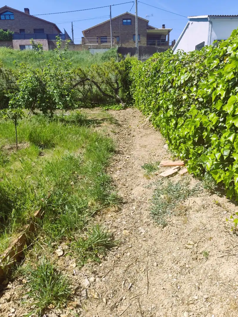 Terreno residencial en venta en Carrer Bedoll, imagen 9