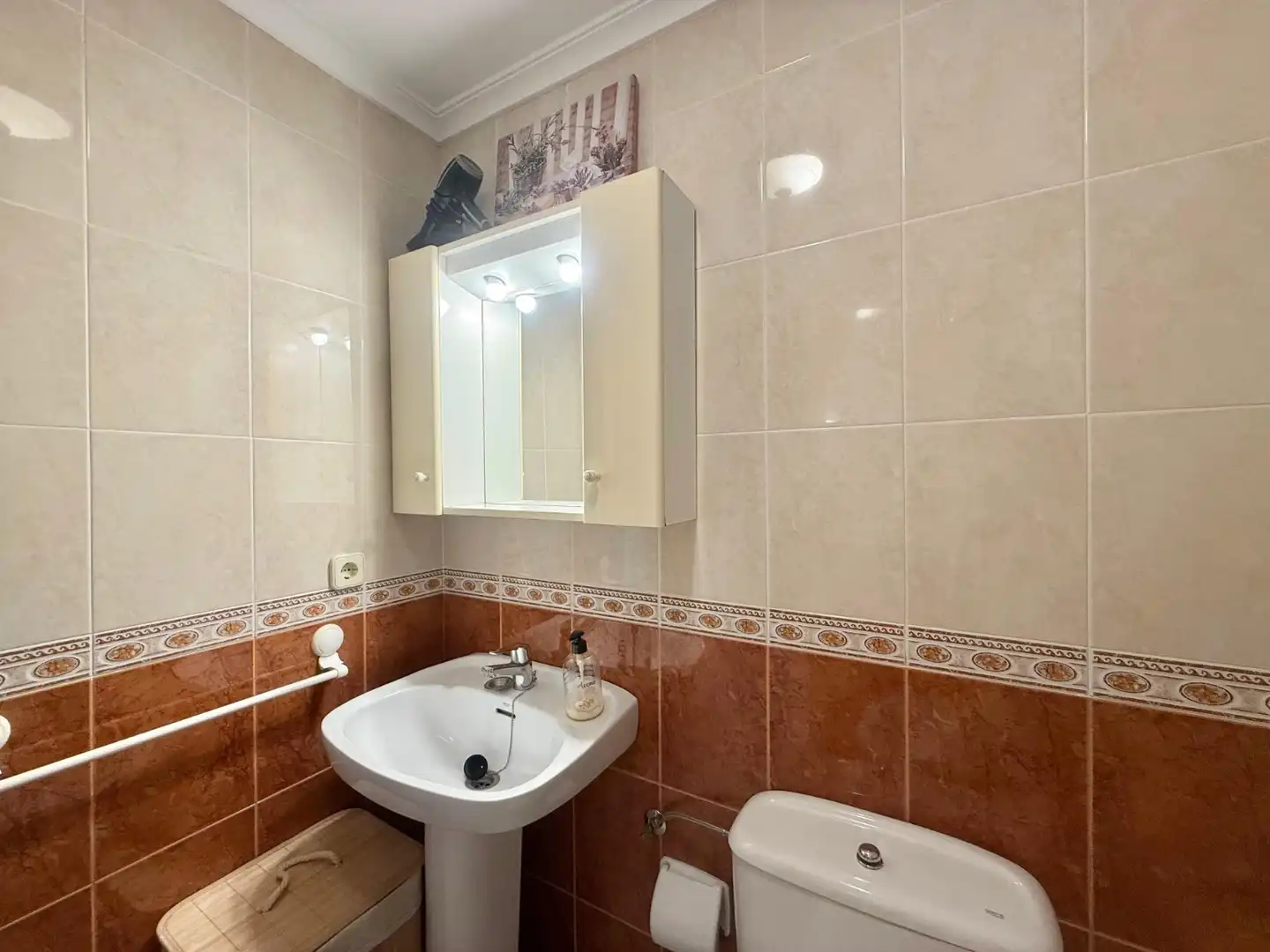 Bathroom of Flat for rent in Guardamar del Segura  with Terrace, Furnished and Oven