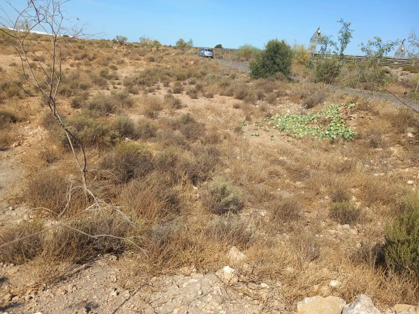 Terreny rústic en venda a San Isidro - Campohermoso, imagen 23