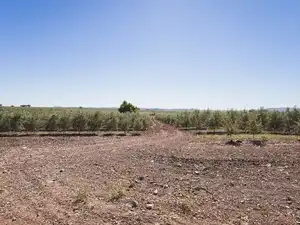 Finca rústica en venda en Badajoz amb Jardí privat, Terrassa i Piscina