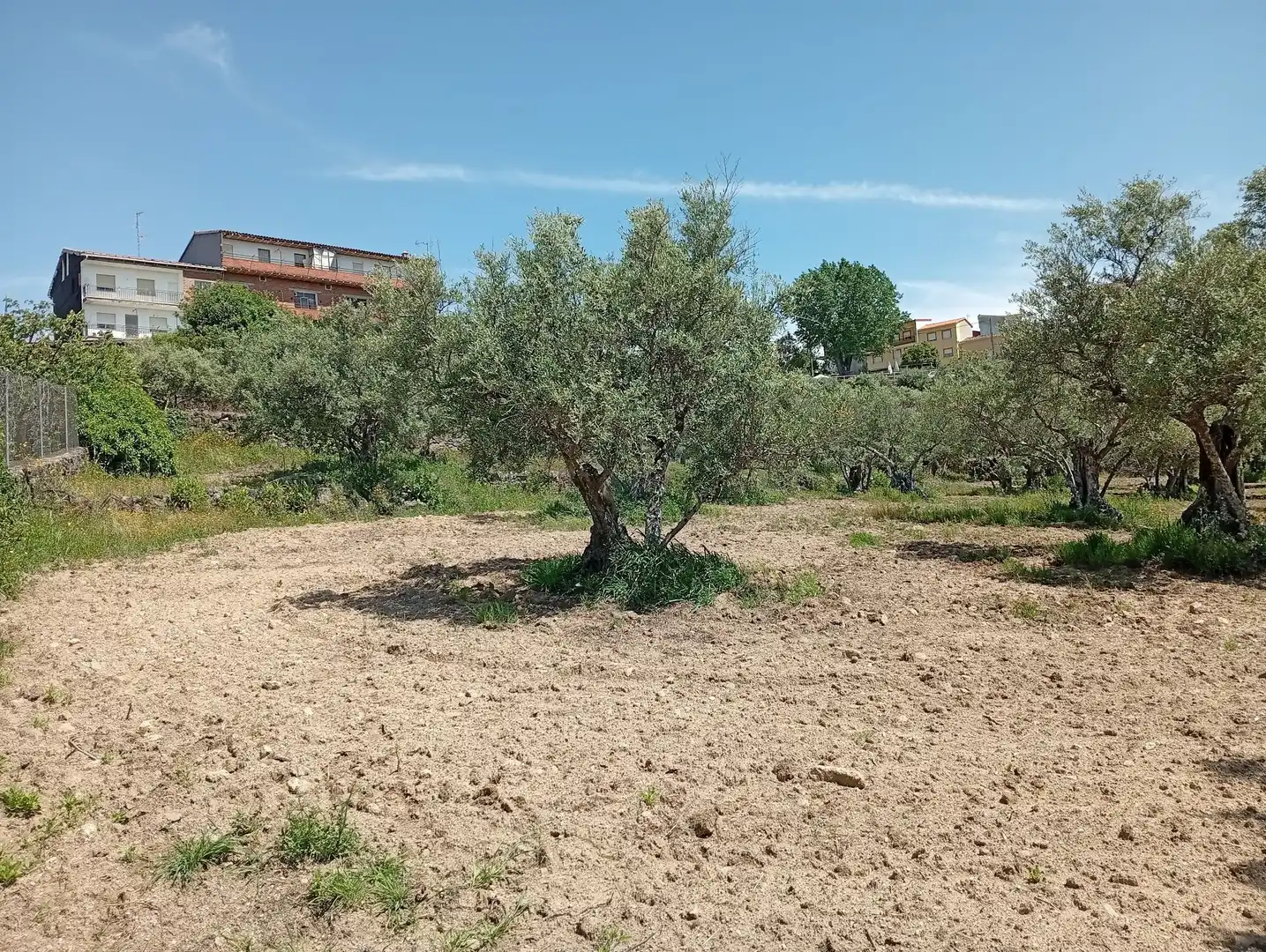 Terreni e lotti in vendita a Villanueva de la Vera, imagen 30